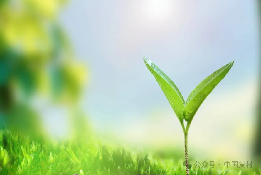 全球首創！100%生物基碳纖維誕生：材料革命的綠色里程