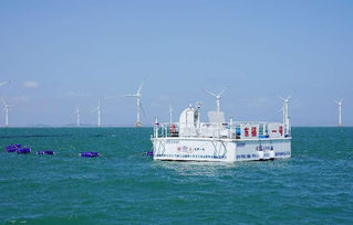 海上風電制氫新突破