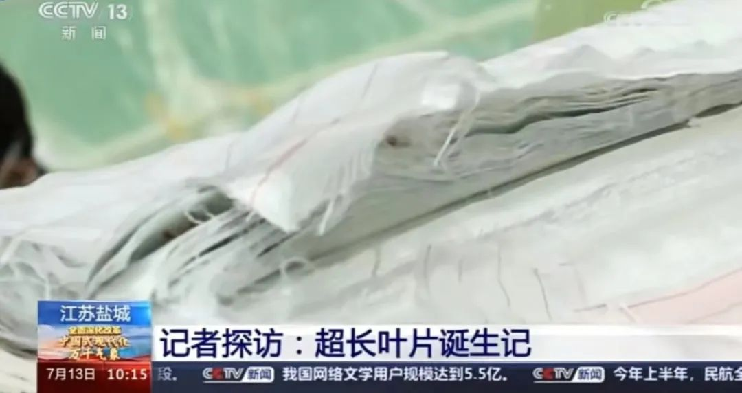 全球最長！已裝機量產的海上風電葉片如何誕生...