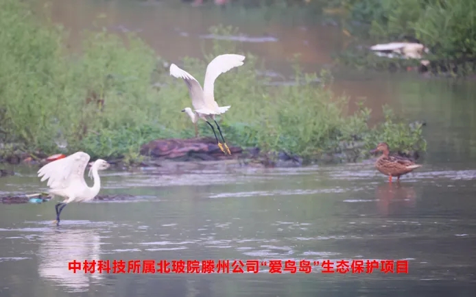 中材科技MSCI ESG評級提升，彰顯綠色發展理念