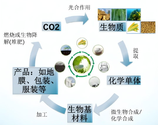 生物基復合材料全生命周期設計、性能調控及高端應用最新進展